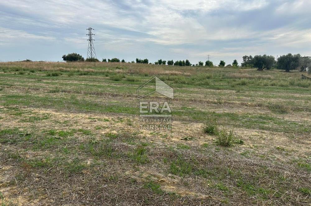 ANTALYA MANAVGAT YAVRUDOĞAN MAHALLESİ SATILIK TARLA