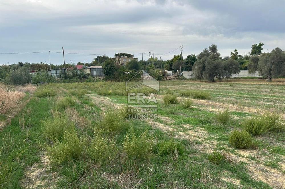 ANTALYA MANAVGAT YAVRUDOĞAN MAHALLESİ SATILIK TARLA