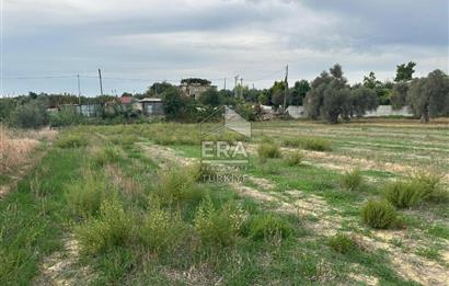 ANTALYA MANAVGAT YAVRUDOĞAN MAHALLESİ SATILIK TARLA
