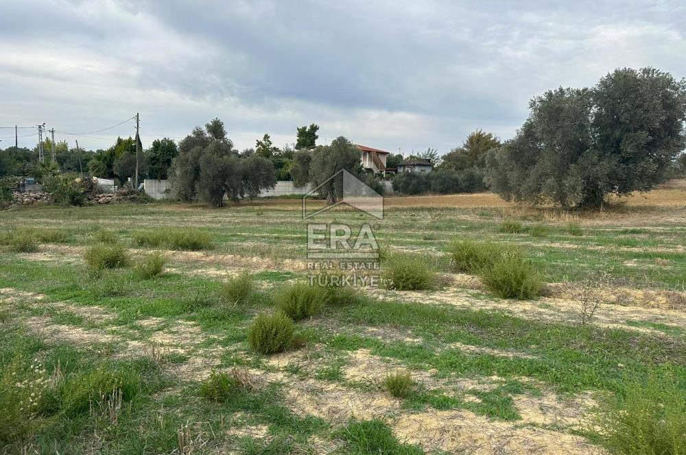 ANTALYA MANAVGAT YAVRUDOĞAN MAHALLESİ SATILIK TARLA