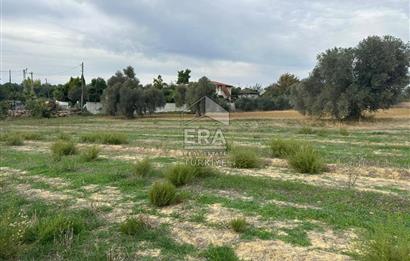 ANTALYA MANAVGAT YAVRUDOĞAN MAHALLESİ SATILIK TARLA