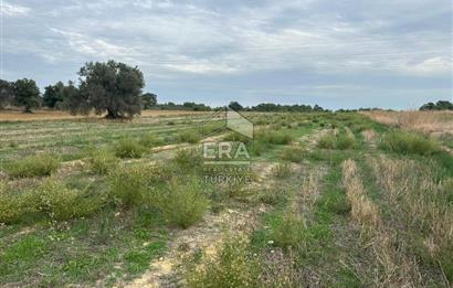 ANTALYA MANAVGAT YAVRUDOĞAN MAHALLESİ SATILIK TARLA