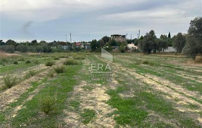 ANTALYA MANAVGAT YAVRUDOĞAN MAHALLESİ SATILIK TARLA