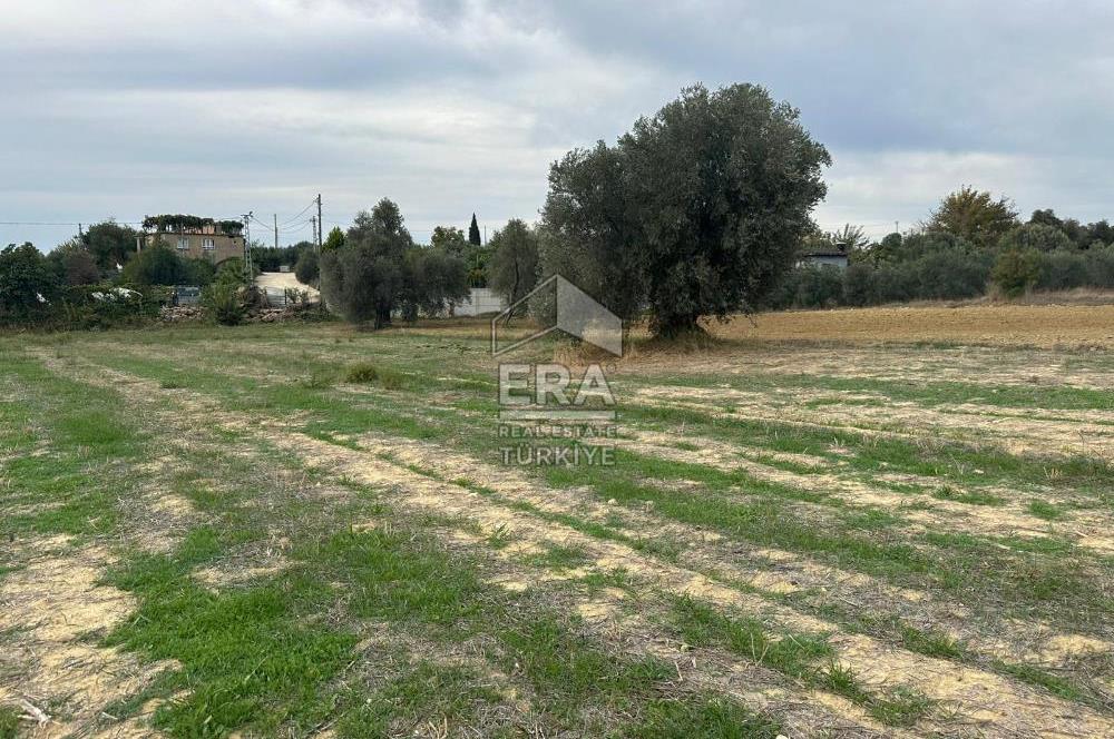 ANTALYA MANAVGAT YAVRUDOĞAN MAHALLESİ SATILIK TARLA