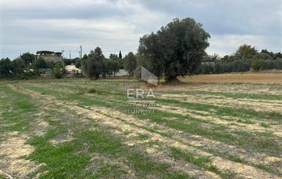 ANTALYA MANAVGAT YAVRUDOĞAN MAHALLESİ SATILIK TARLA