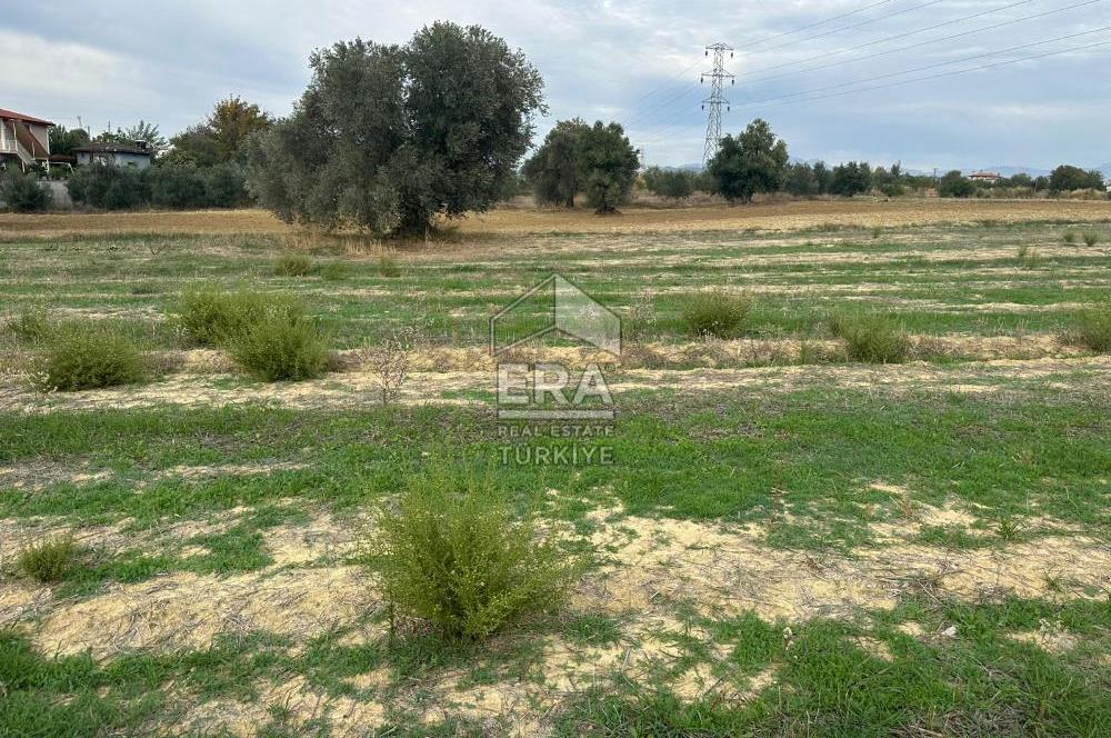 ANTALYA MANAVGAT YAVRUDOĞAN MAHALLESİ SATILIK TARLA