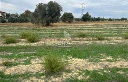 ANTALYA MANAVGAT YAVRUDOĞAN MAHALLESİ SATILIK TARLA