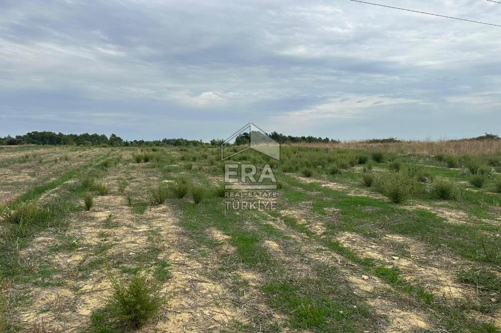 ANTALYA MANAVGAT YAVRUDOĞAN MAHALLESİ SATILIK TARLA