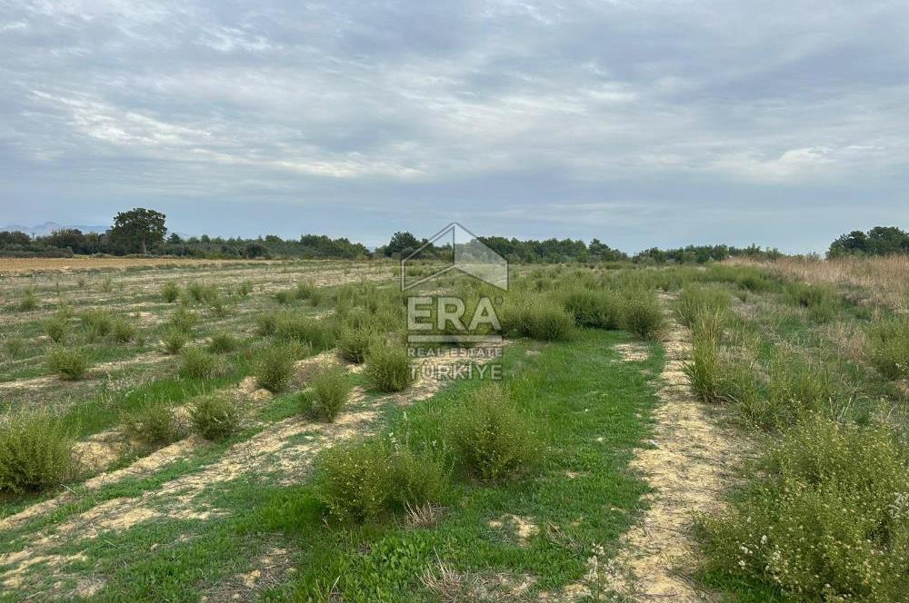 ANTALYA MANAVGAT YAVRUDOĞAN MAHALLESİ SATILIK TARLA