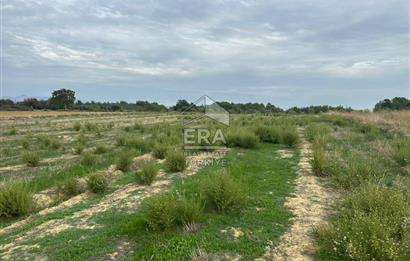 ANTALYA MANAVGAT YAVRUDOĞAN MAHALLESİ SATILIK TARLA