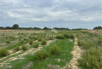 ANTALYA MANAVGAT YAVRUDOĞAN MAHALLESİ SATILIK TARLA - 2 - 13829