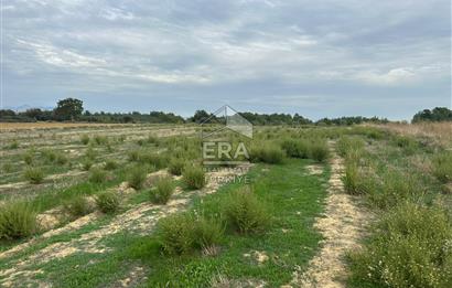 ANTALYA MANAVGAT YAVRUDOĞAN MAHALLESİ SATILIK TARLA