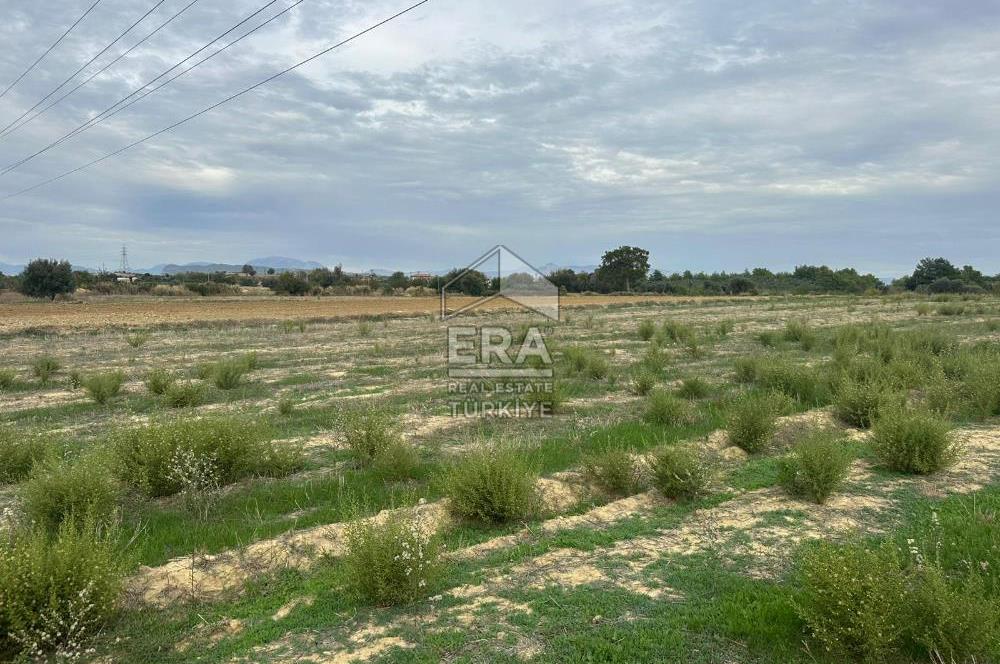 ANTALYA MANAVGAT YAVRUDOĞAN MAHALLESİ SATILIK TARLA