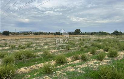 ANTALYA MANAVGAT YAVRUDOĞAN MAHALLESİ SATILIK TARLA