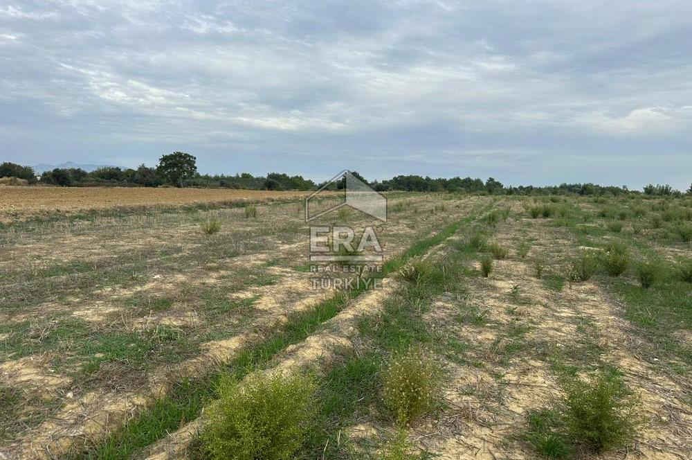 ANTALYA MANAVGAT YAVRUDOĞAN MAHALLESİ SATILIK TARLA