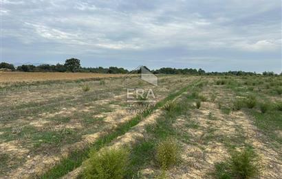 ANTALYA MANAVGAT YAVRUDOĞAN MAHALLESİ SATILIK TARLA