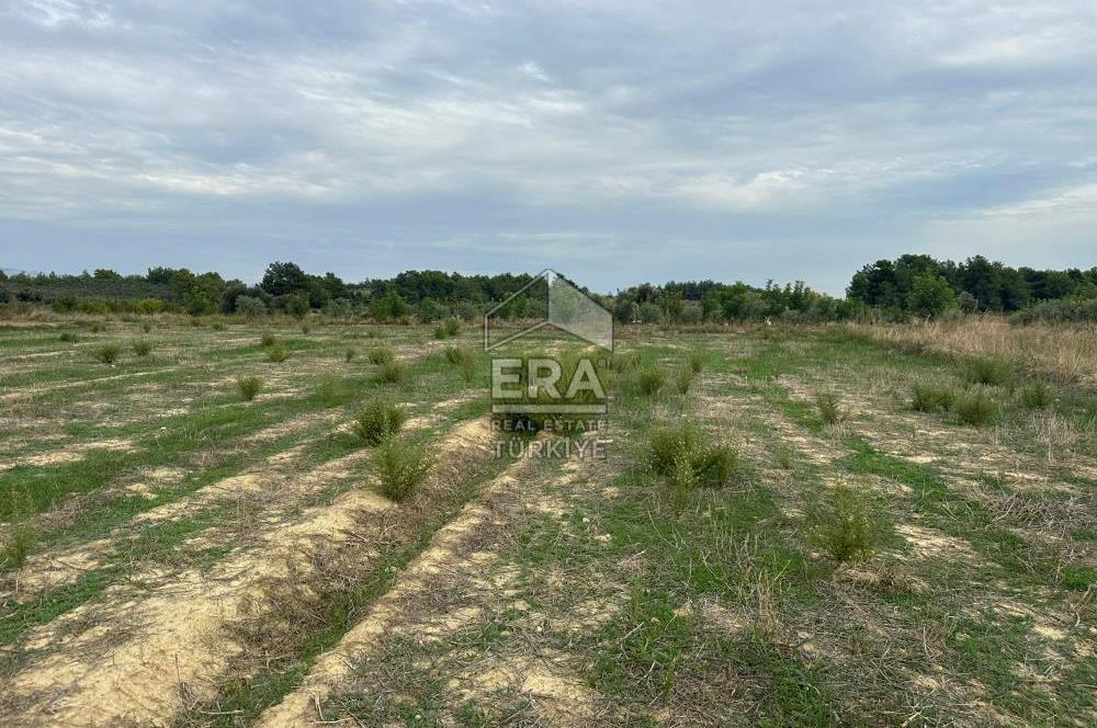 ANTALYA MANAVGAT YAVRUDOĞAN MAHALLESİ SATILIK TARLA