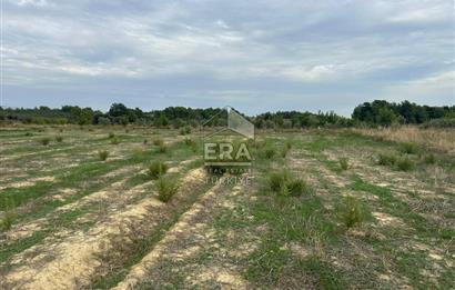 ANTALYA MANAVGAT YAVRUDOĞAN MAHALLESİ SATILIK TARLA