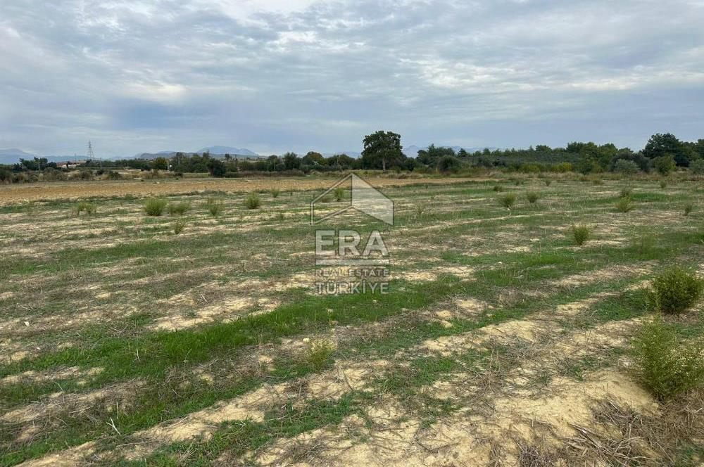 ANTALYA MANAVGAT YAVRUDOĞAN MAHALLESİ SATILIK TARLA