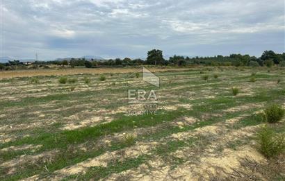 ANTALYA MANAVGAT YAVRUDOĞAN MAHALLESİ SATILIK TARLA