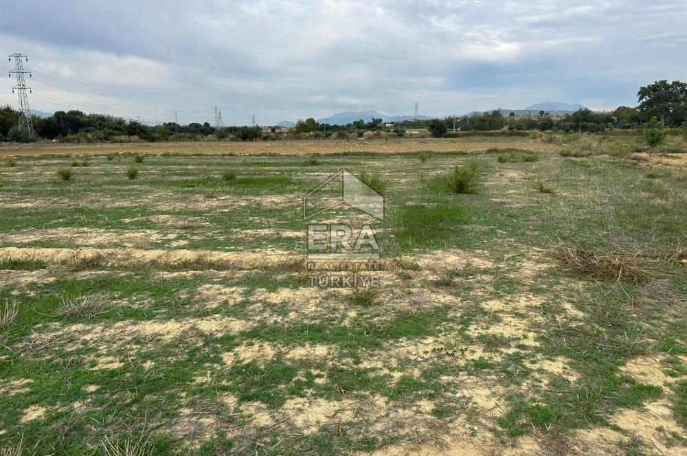 ANTALYA MANAVGAT YAVRUDOĞAN MAHALLESİ SATILIK TARLA