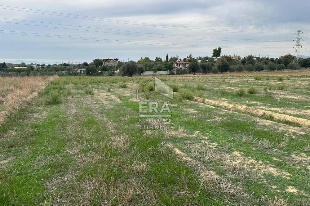 ANTALYA MANAVGAT YAVRUDOĞAN MAHALLESİ SATILIK TARLA