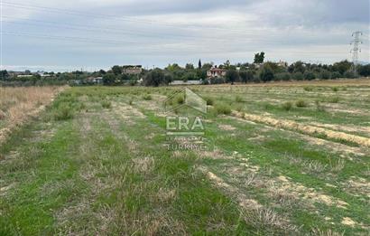 ANTALYA MANAVGAT YAVRUDOĞAN MAHALLESİ SATILIK TARLA