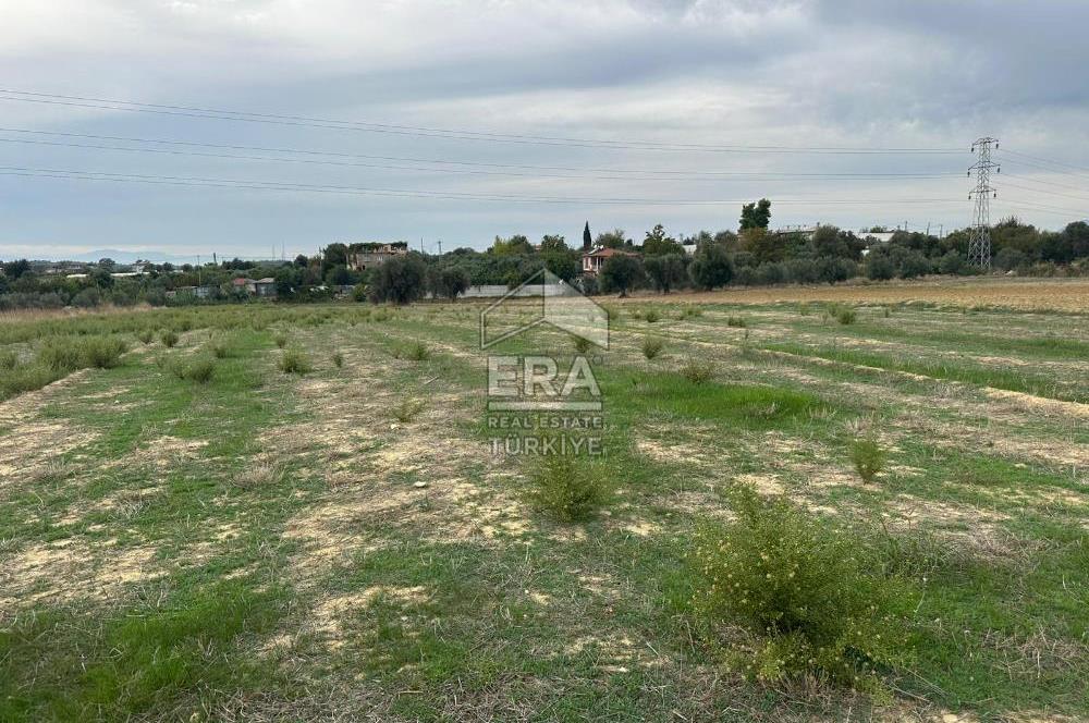 ANTALYA MANAVGAT YAVRUDOĞAN MAHALLESİ SATILIK TARLA