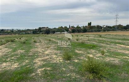 ANTALYA MANAVGAT YAVRUDOĞAN MAHALLESİ SATILIK TARLA