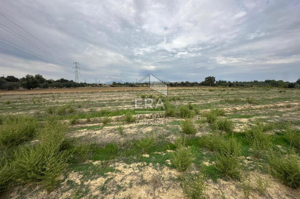 ANTALYA MANAVGAT YAVRUDOĞAN MAHALLESİ SATILIK TARLA