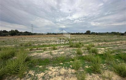 ANTALYA MANAVGAT YAVRUDOĞAN MAHALLESİ SATILIK TARLA