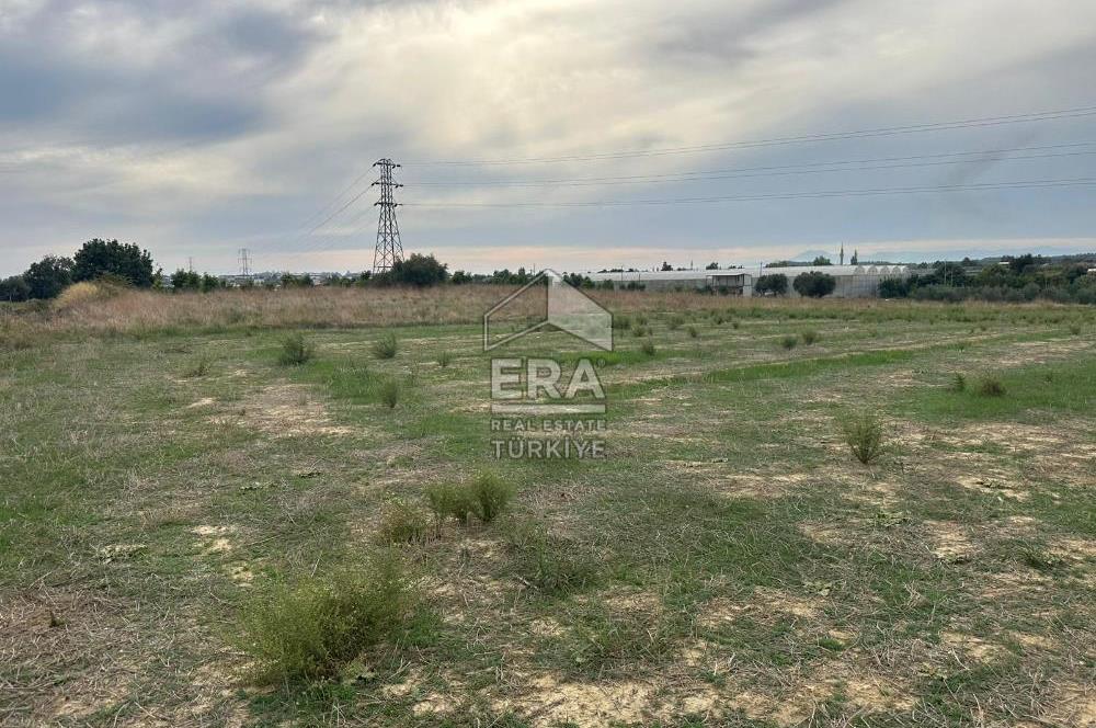 ANTALYA MANAVGAT YAVRUDOĞAN MAHALLESİ SATILIK TARLA