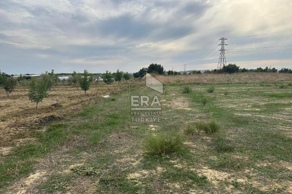 ANTALYA MANAVGAT YAVRUDOĞAN MAHALLESİ SATILIK TARLA