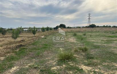 ANTALYA MANAVGAT YAVRUDOĞAN MAHALLESİ SATILIK TARLA
