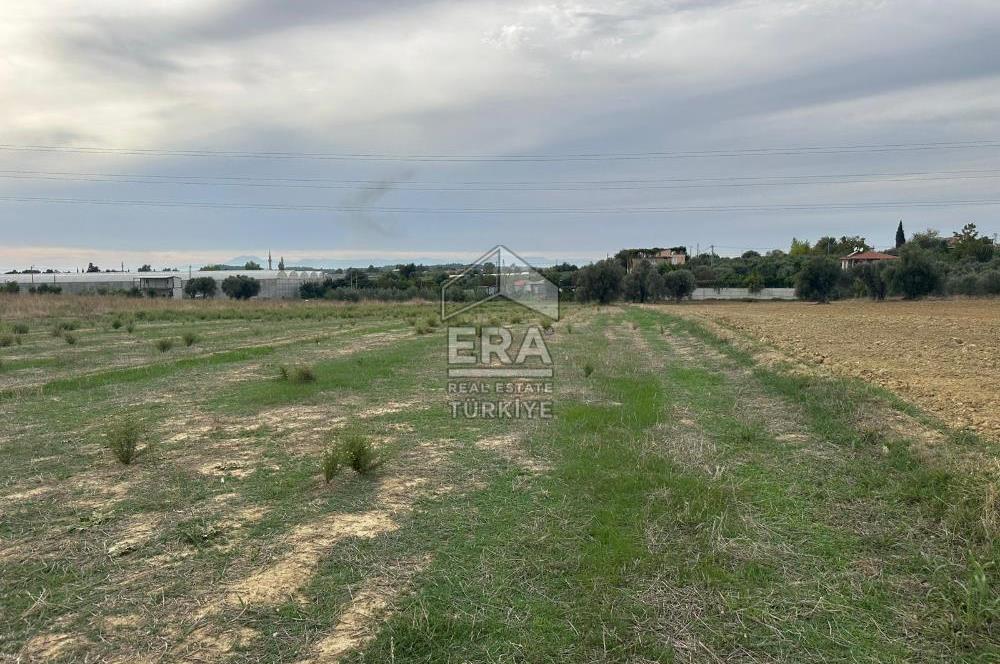 ANTALYA MANAVGAT YAVRUDOĞAN MAHALLESİ SATILIK TARLA