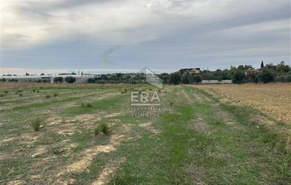 ANTALYA MANAVGAT YAVRUDOĞAN MAHALLESİ SATILIK TARLA