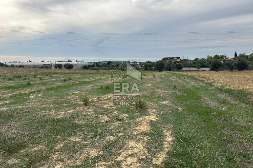 ANTALYA MANAVGAT YAVRUDOĞAN MAHALLESİ SATILIK TARLA