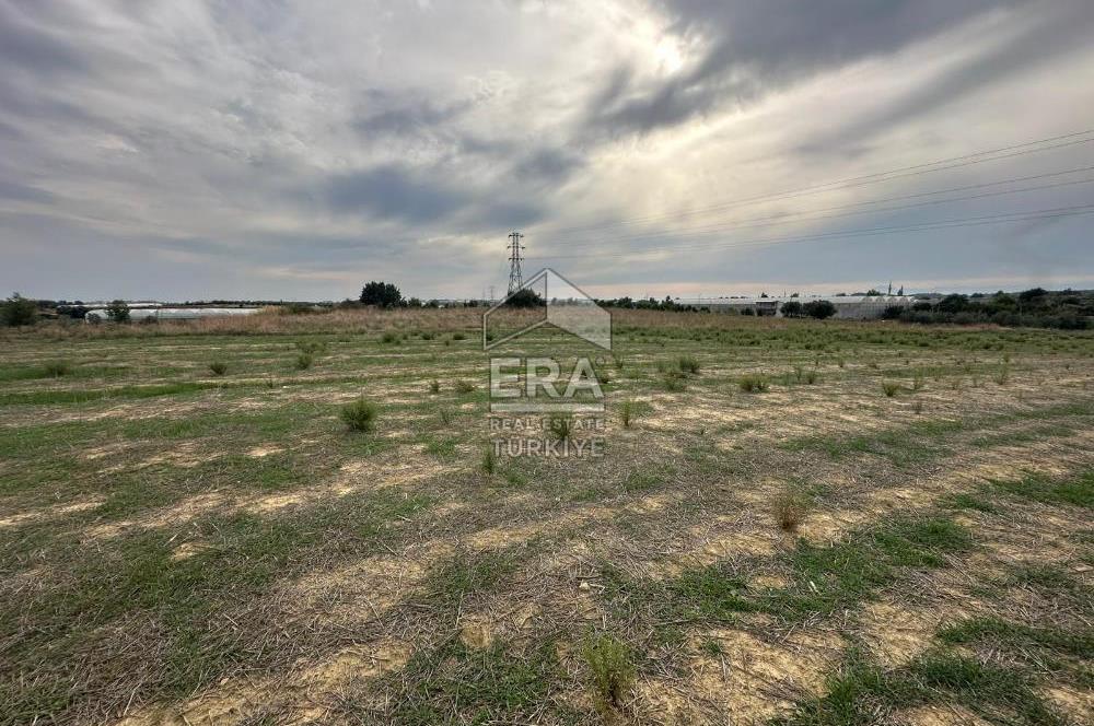 ANTALYA MANAVGAT YAVRUDOĞAN MAHALLESİ SATILIK TARLA