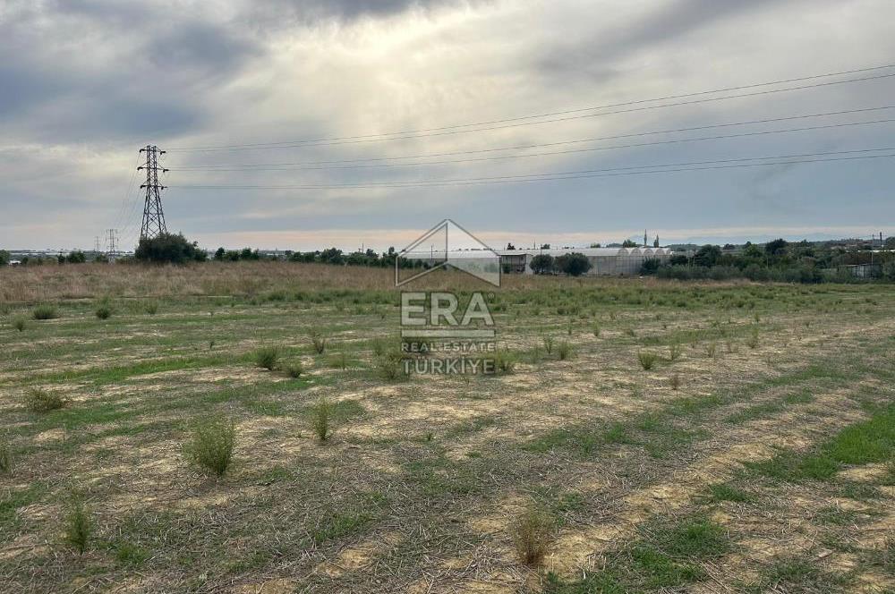 ANTALYA MANAVGAT YAVRUDOĞAN MAHALLESİ SATILIK TARLA