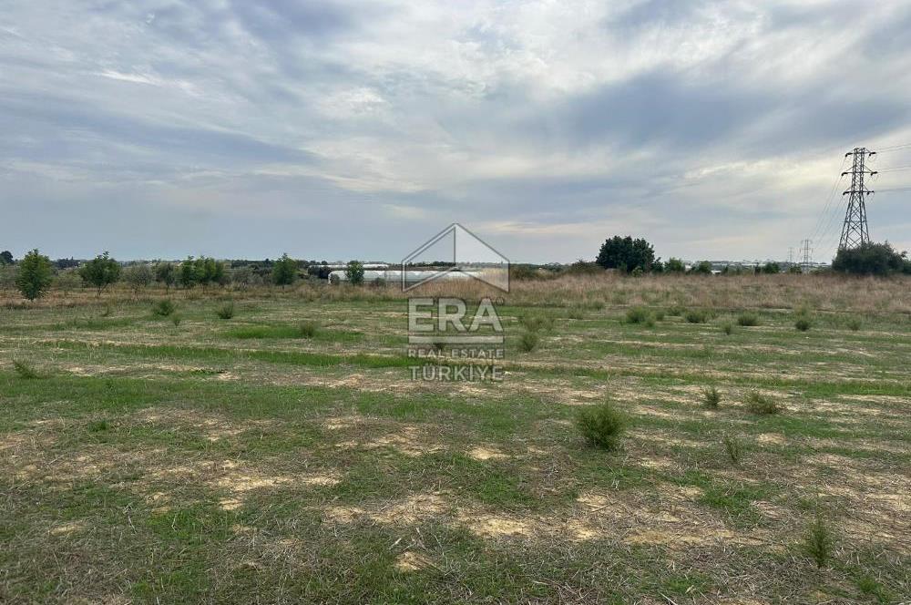 ANTALYA MANAVGAT YAVRUDOĞAN MAHALLESİ SATILIK TARLA