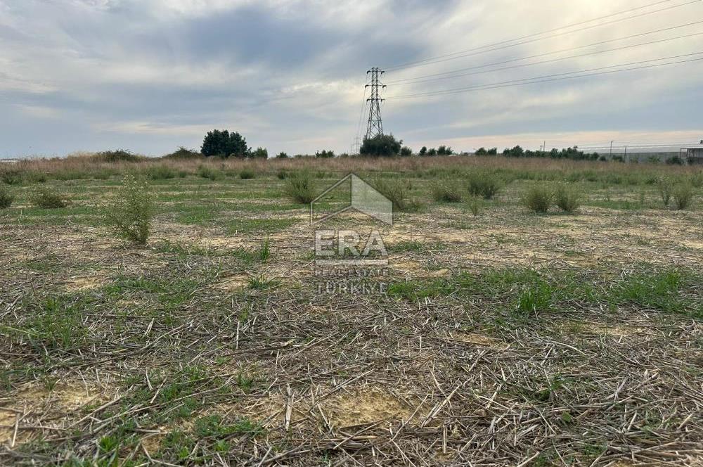 ANTALYA MANAVGAT YAVRUDOĞAN MAHALLESİ SATILIK TARLA