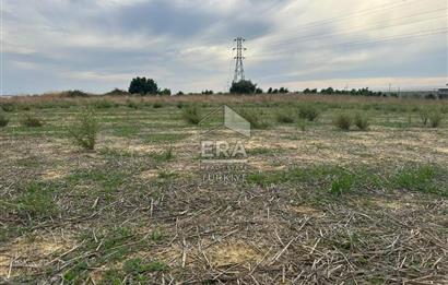 ANTALYA MANAVGAT YAVRUDOĞAN MAHALLESİ SATILIK TARLA