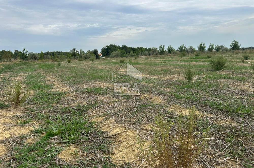 ANTALYA MANAVGAT YAVRUDOĞAN MAHALLESİ SATILIK TARLA