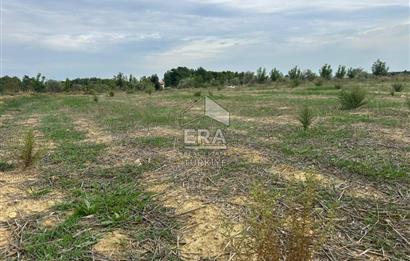 ANTALYA MANAVGAT YAVRUDOĞAN MAHALLESİ SATILIK TARLA