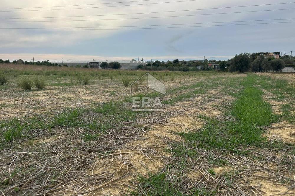 ANTALYA MANAVGAT YAVRUDOĞAN MAHALLESİ SATILIK TARLA