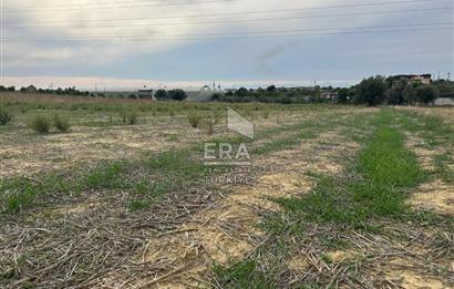 ANTALYA MANAVGAT YAVRUDOĞAN MAHALLESİ SATILIK TARLA