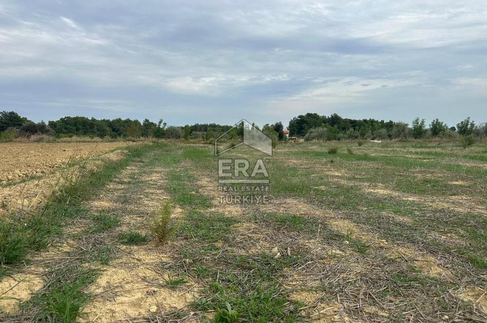 ANTALYA MANAVGAT YAVRUDOĞAN MAHALLESİ SATILIK TARLA