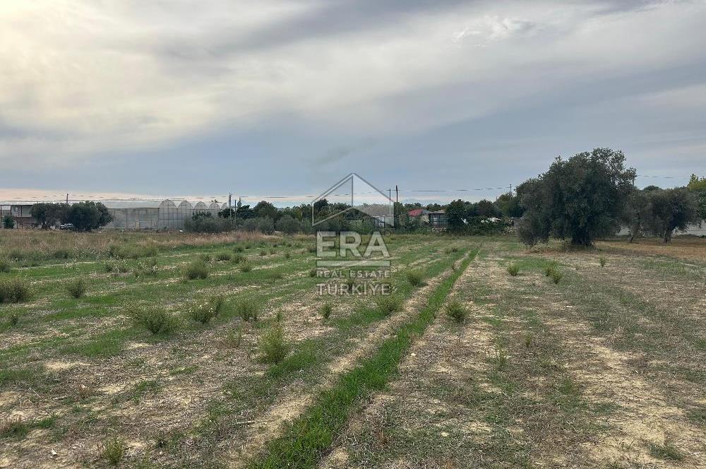 ANTALYA MANAVGAT YAVRUDOĞAN MAHALLESİ SATILIK TARLA