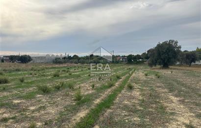 ANTALYA MANAVGAT YAVRUDOĞAN MAHALLESİ SATILIK TARLA