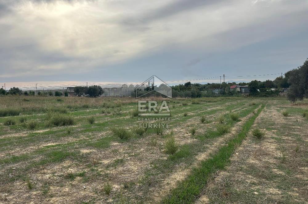 ANTALYA MANAVGAT YAVRUDOĞAN MAHALLESİ SATILIK TARLA